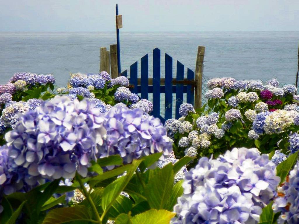 Archondissa Beach Aparthotel Therma  Dış mekan fotoğraf
