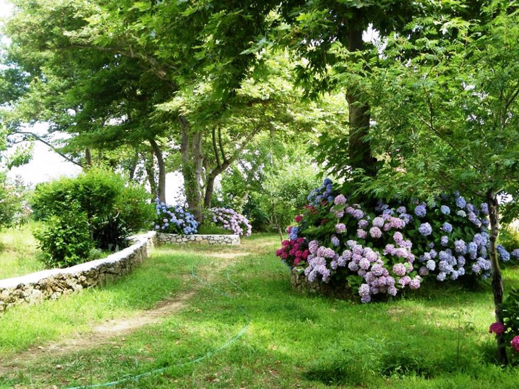 Archondissa Beach Aparthotel Therma  Dış mekan fotoğraf