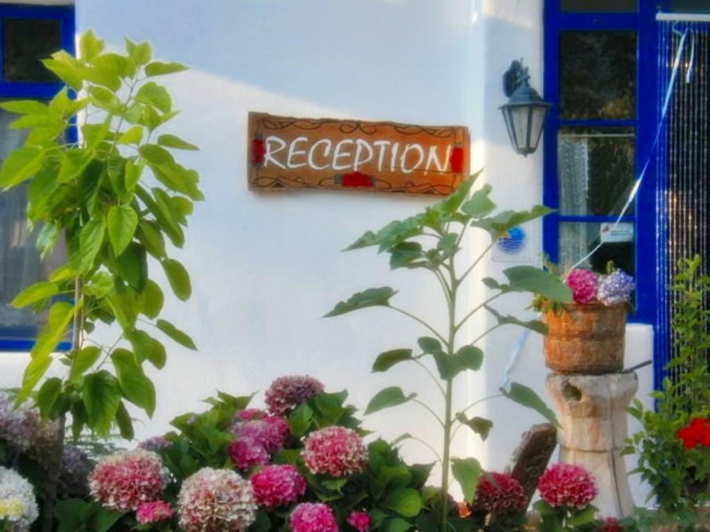 Archondissa Beach Aparthotel Therma  Dış mekan fotoğraf