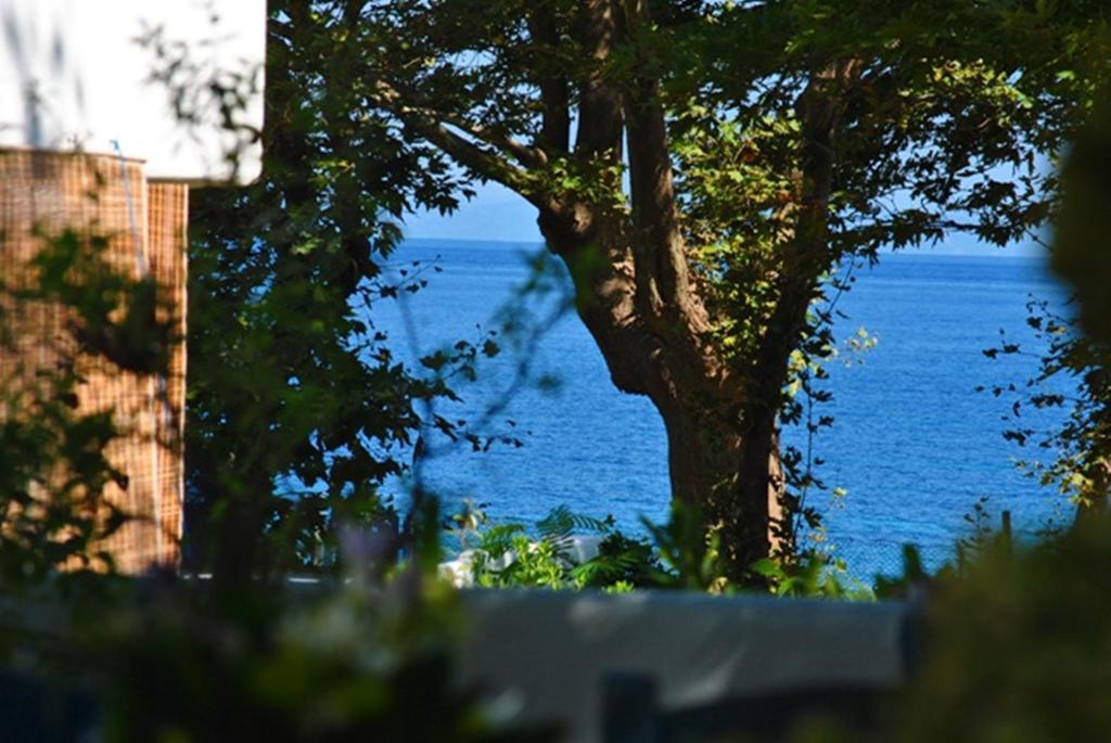 Archondissa Beach Aparthotel Therma  Dış mekan fotoğraf