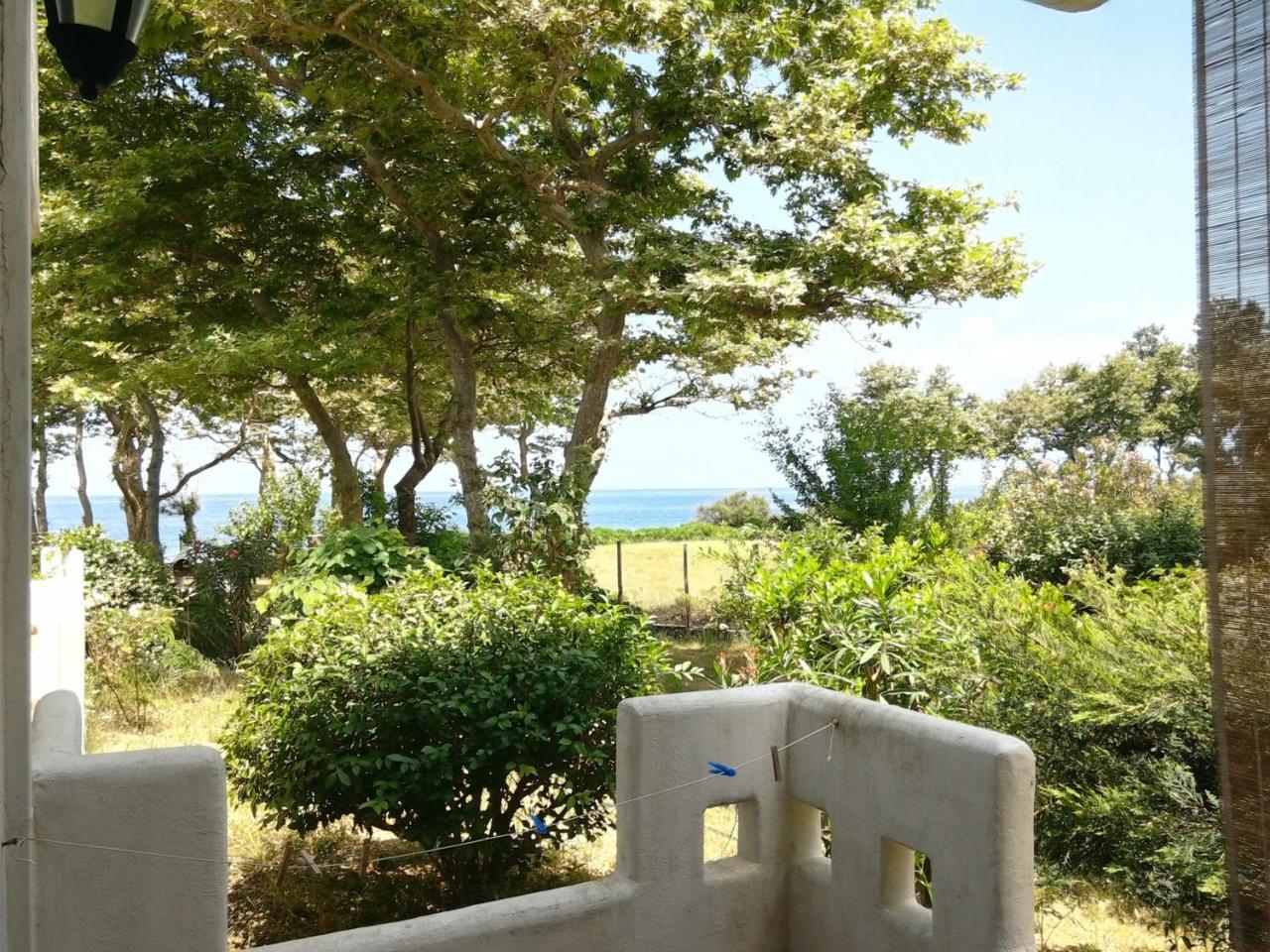Archondissa Beach Aparthotel Therma  Dış mekan fotoğraf